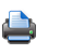 print this page